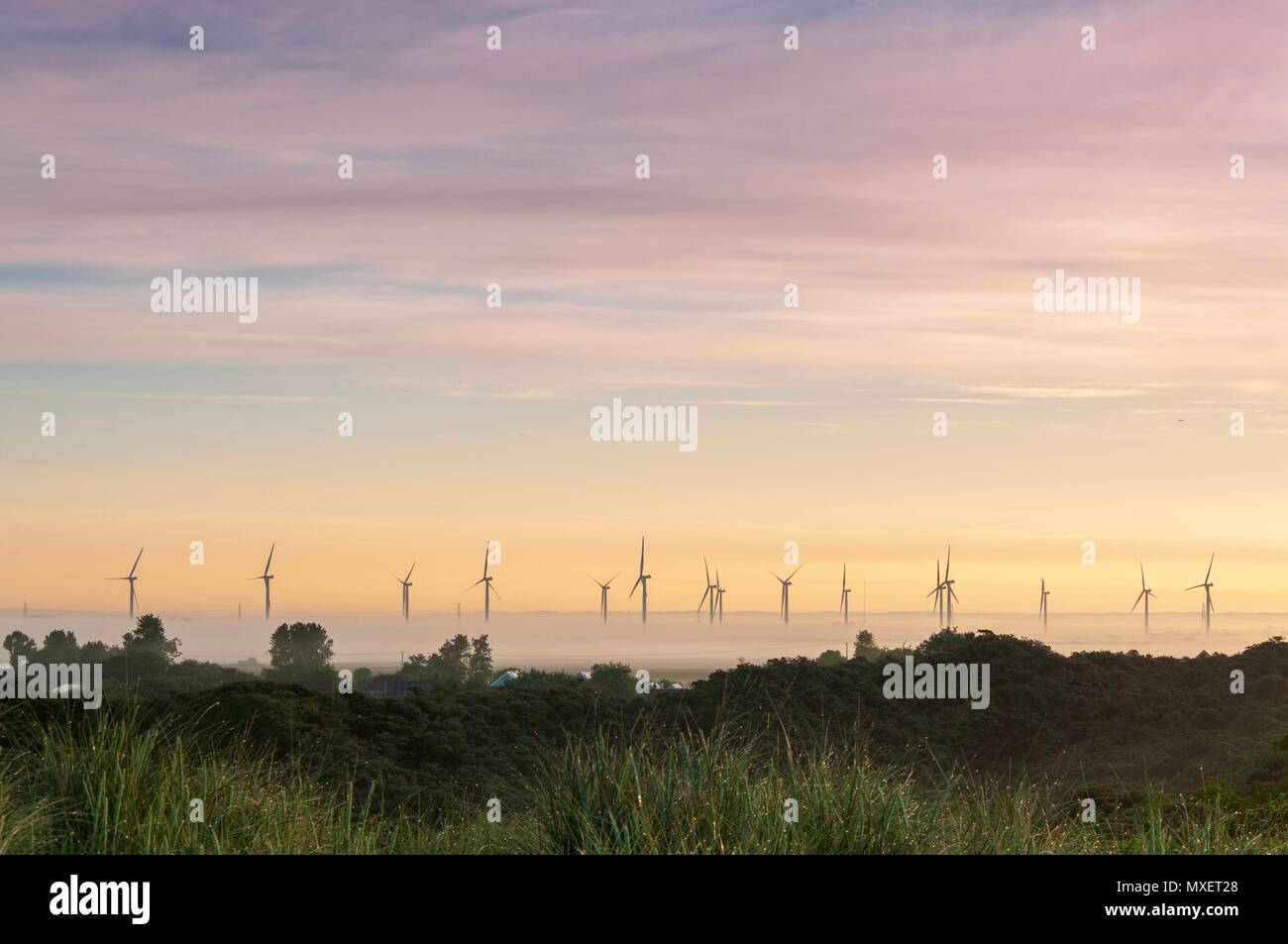 Windenergieanlagen erhebt sich aus dem Nebel bei Sonnenaufgang an einem Sommer Stockfoto