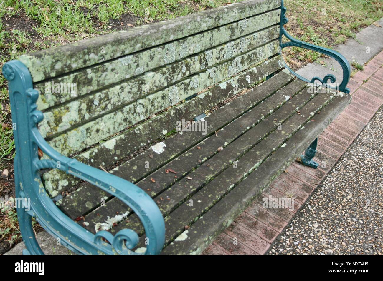 Eine Bank mit Schimmel gefüllt nach einem nassen Winter Stockfoto