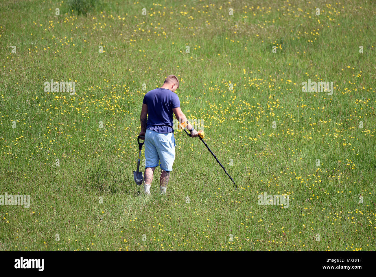 Mann mit einem Metalldetektor auf ein Naturschutzgebiet England Großbritannien Stockfoto