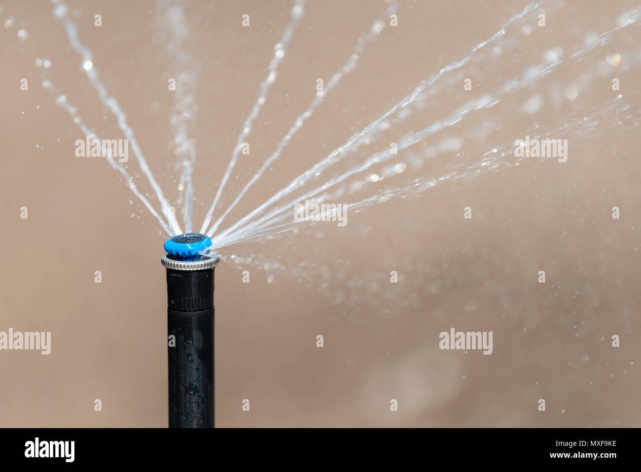 Automatische Sprinkler in Aktion Garten Rasen Bewässerung Stockfoto
