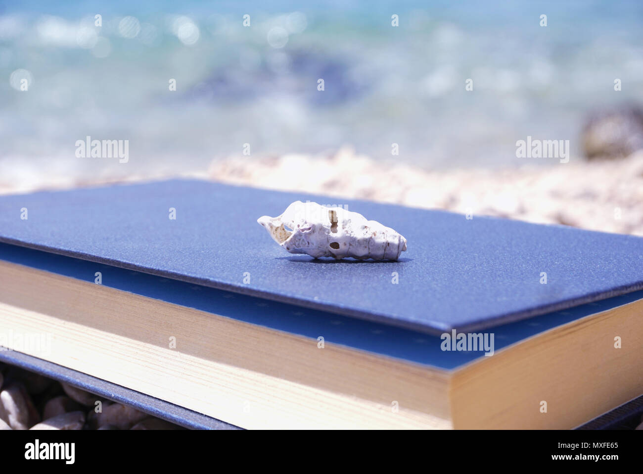 Buch mit alten und Schäden Seashell, den Sie in der Seeküste. Ferienhäuser und Konzept entspannen Stockfoto