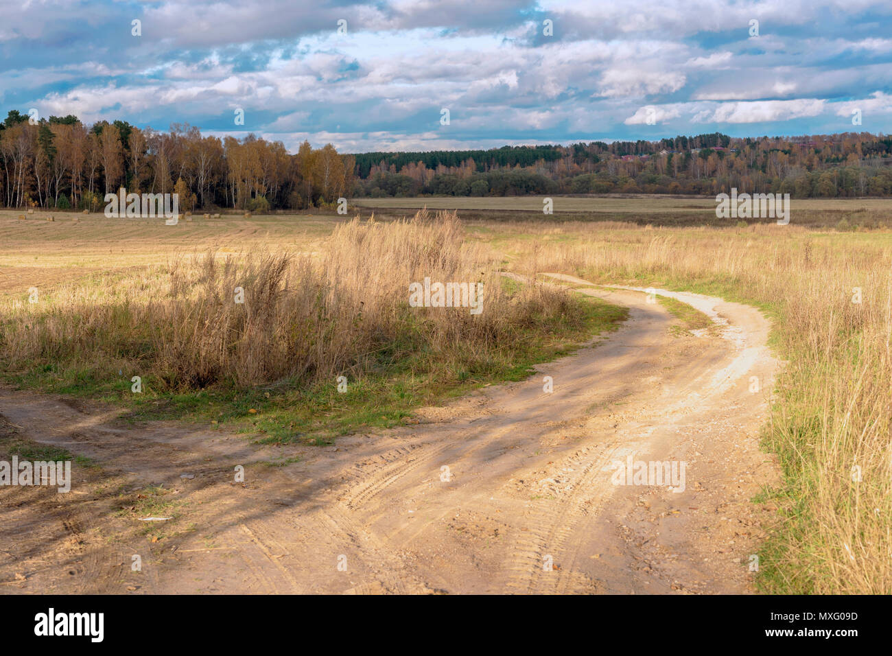 Herbst rustikale Landschaft, Pfad, der im Feld mit runden Strohballen nach der Ernte auf dem Hintergrund von Wald. Sonnigen Tag auf dem Land Stockfoto