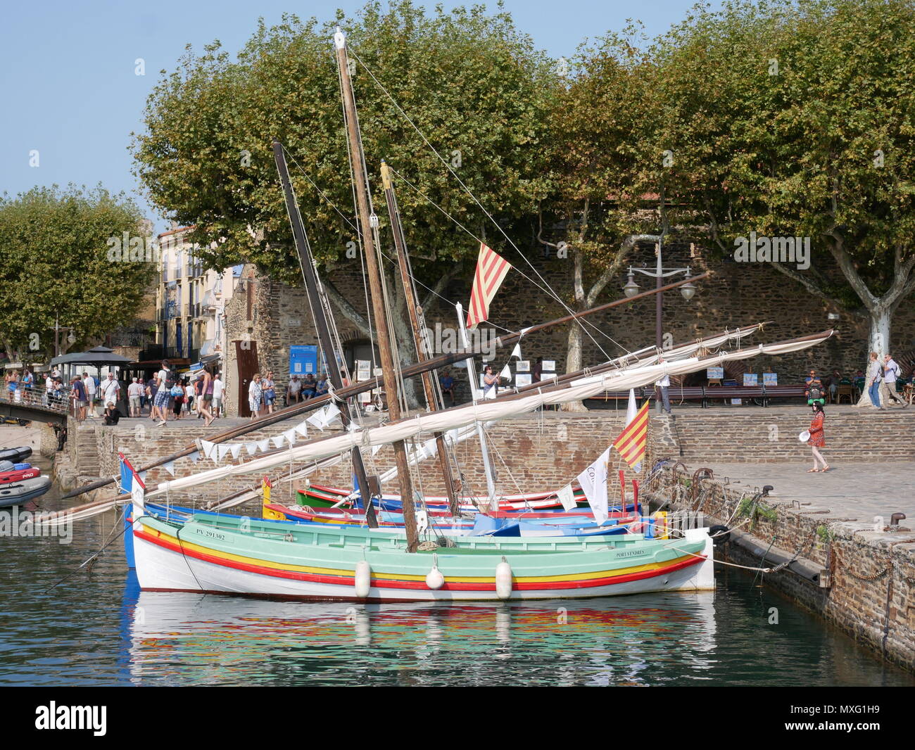 Traditionelle Fischerboote vor Anker in einer Reihe am Kai in Collioure, Roussillon, Frankreich. Stockfoto
