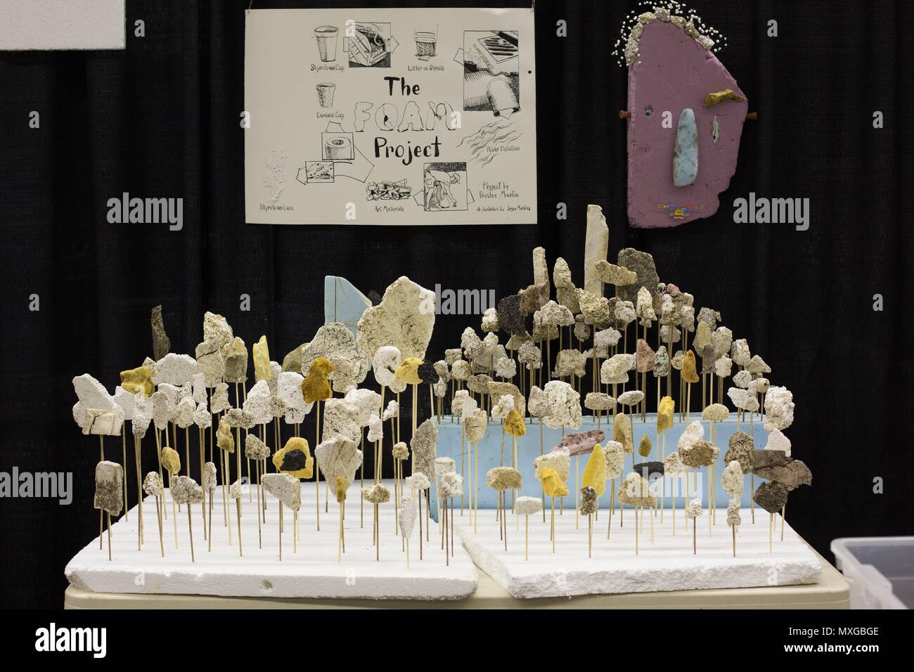 Eine Anzeige von Schaum, die zu verschiedenen Elementen ausgesetzt wurde, am Flughafen Minneapolis-St. Paul Mini Maker Faire in St. Paul, Minnesota, USA. Stockfoto