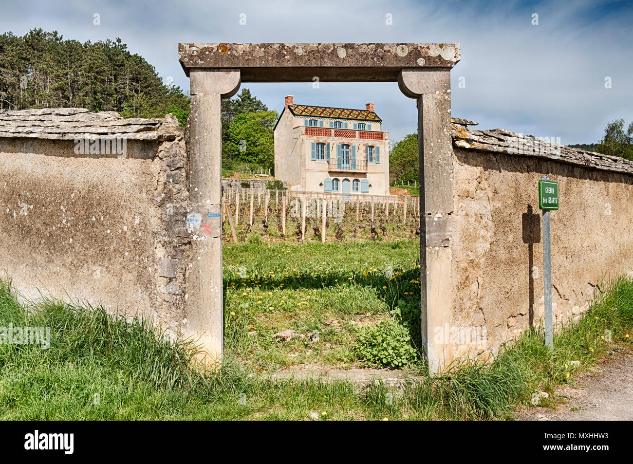 Ein steinernes Tor führt zu einem Weinberg und ein Schloss in der Nähe der Stadtgrenze von Gevery in der Region Burgund in Frankreich. Stockfoto