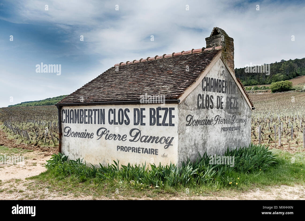 GEVREY-CHAMBERTIN, Frankreich - 22 April, 2018: Eine kleine Farm Gebäude sitzt in der Mitte der Burgunder grand cru Weingut Clos de Beze. Stockfoto