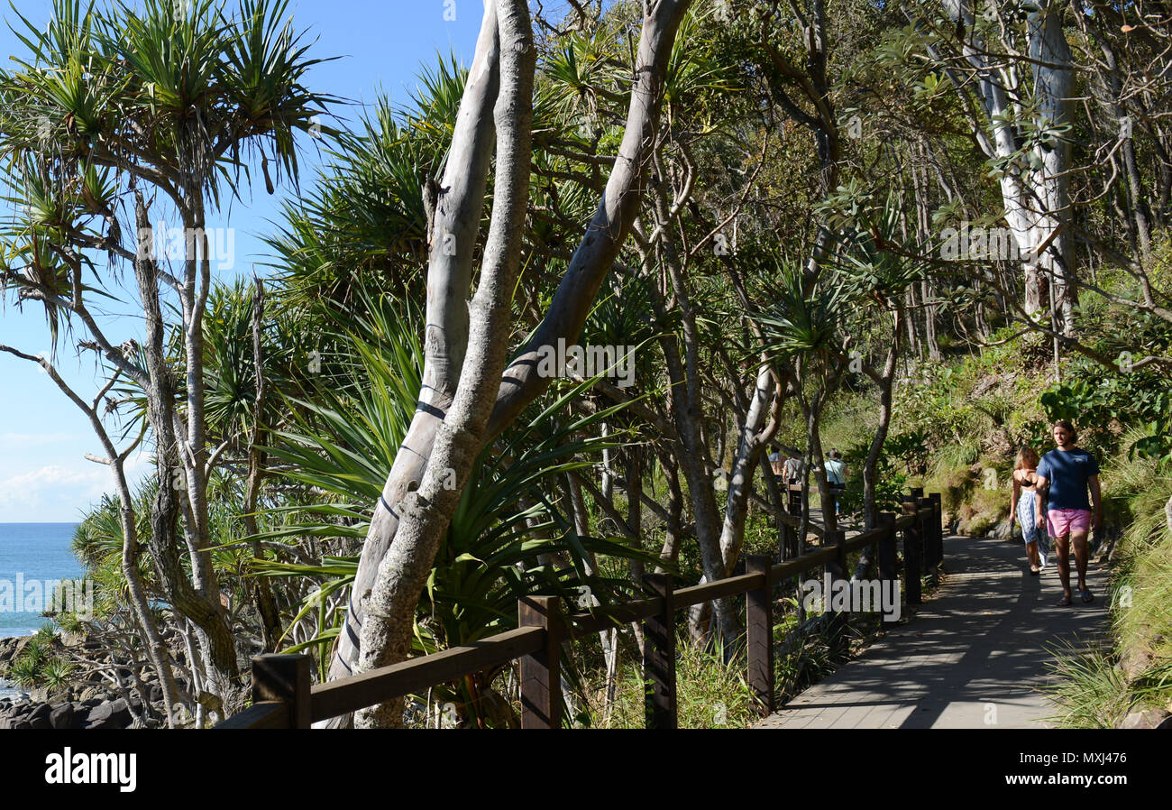 Wanderer und Surfer auf dem Coastal Trail in Noosa Nationalpark in Queensland. Stockfoto