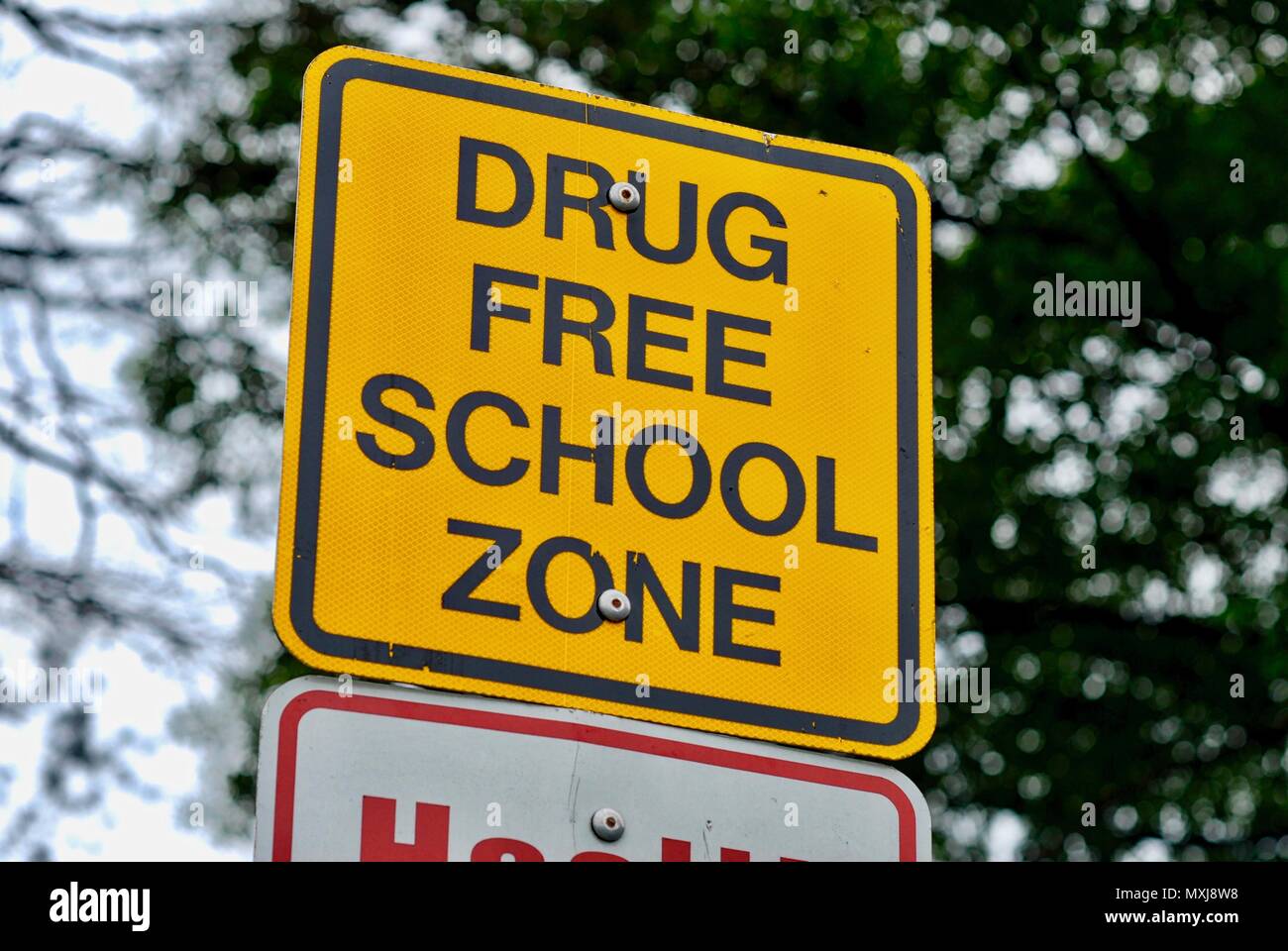 Nahaufnahme eines Zeichens in der Nähe einer Schule Warnung, dass es sich um eine "freie Schule zone'. Hintergrund schließt Baumästen und der Himmel. Stockfoto