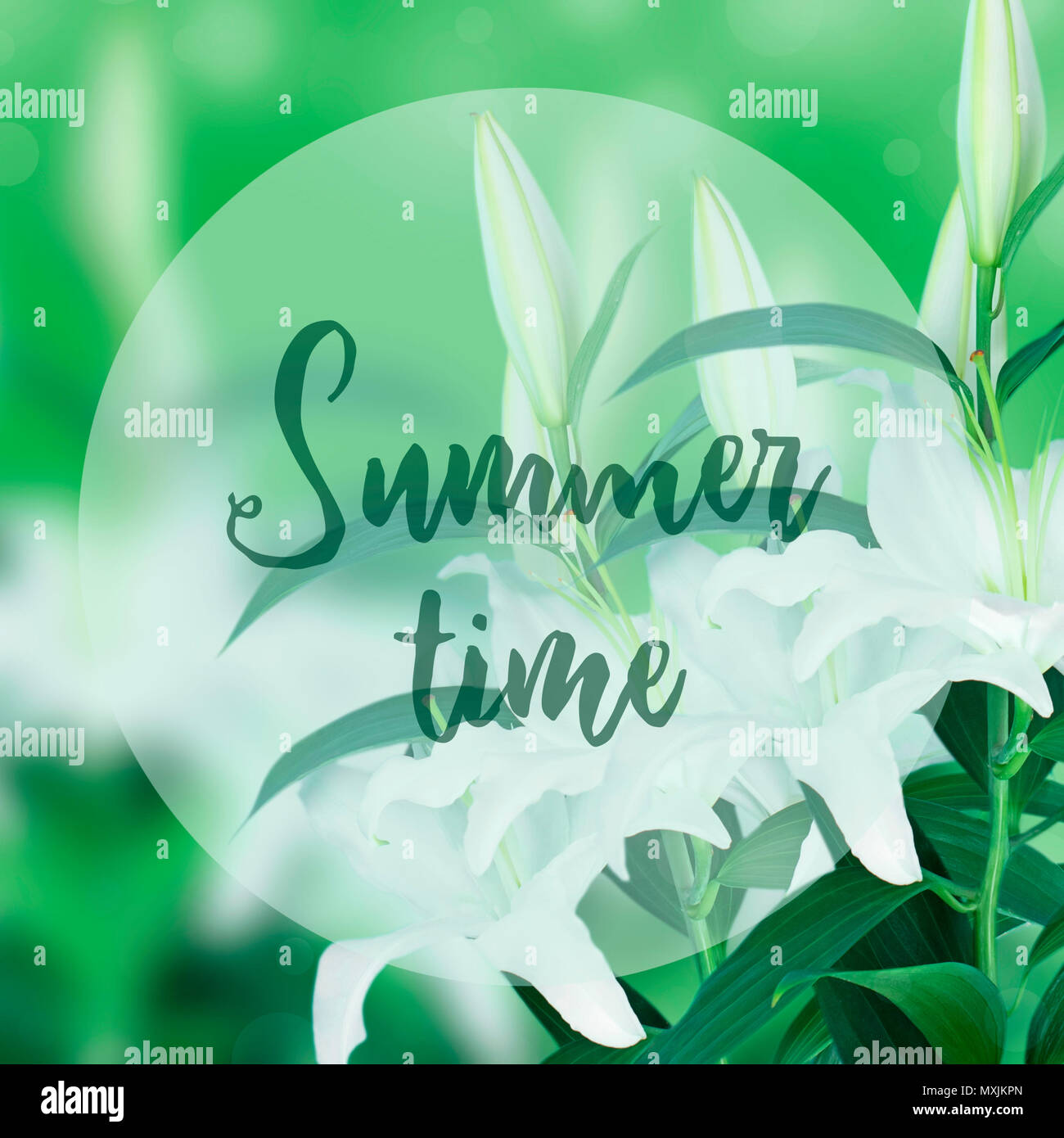 Natürliche Blumenstrauß aus Lilien auf grünem verschwommenen Hintergrund. Kopieren Sie Platz für Text Stockfoto