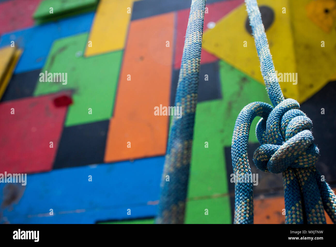 Nahaufnahme eines blauen klettern Knoten hängen vor einem bunten Turnhalle Kletterwand. Stockfoto