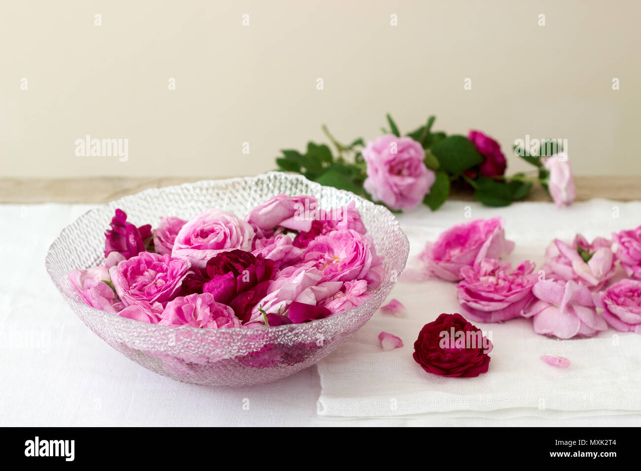 Rosen und Rosenblätter, Rosen. Im rustikalen Stil. Stockfoto