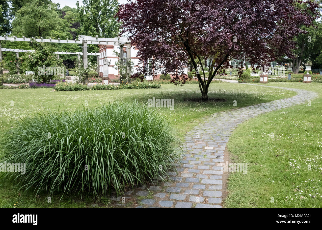 Im Mai Palmengarten Ein Botanischer Garten Im Main Gelegen