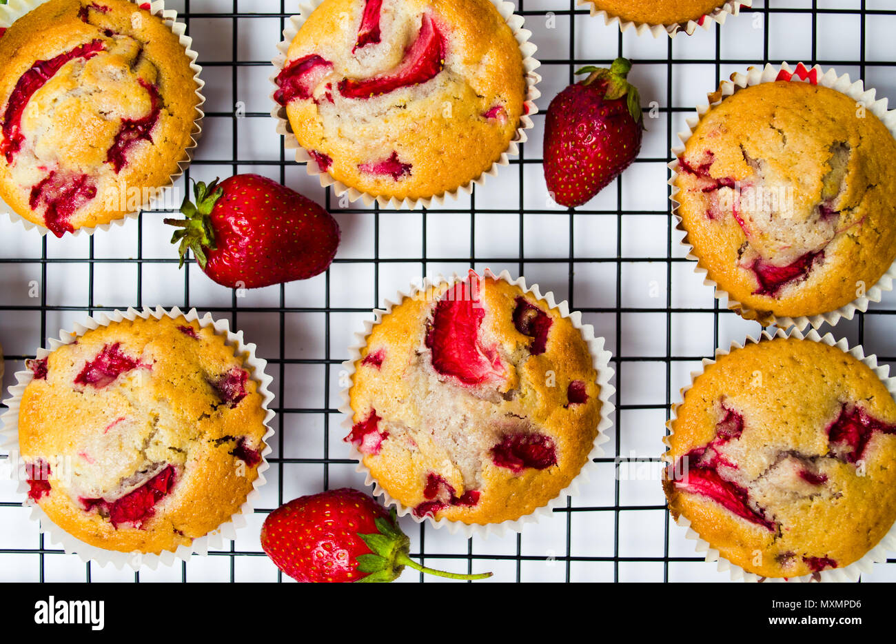 Selbstgemachte Erdbeer Frucht Muffins in Papier Halter Stockfoto