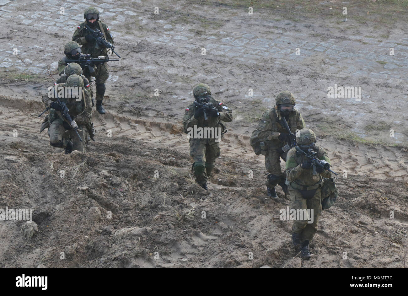 Ein Fallschirmjäger der US-Armee, 3 Platoon, das Unternehmen D, 2.BATAILLON, 503Rd Infanterie Regiment, 173Rd Airborne Brigade, führt eine polnische Fire Team, 6 Airborne Bataillon, 16 Airborne Brigade, durch eine urbane Kurs während eines bi-laterale Schulungsveranstaltung an einer Ausbildungsstätte in Wedrzyn, Polen, Nov. 21, 2016. Ein Teil der 173Rd Abn. Bde. Die Mission in Osteuropa ist das NATO-Bündnis durch die Stärkung seiner leichte Infanterie, taktische Fähigkeiten mit gemeinsamen Taktik und Konzentration auf Beziehungen, Techniken und Verfahren zu stärken. (U.S. Armee Foto von Sgt. William A. Tanner) Stockfoto