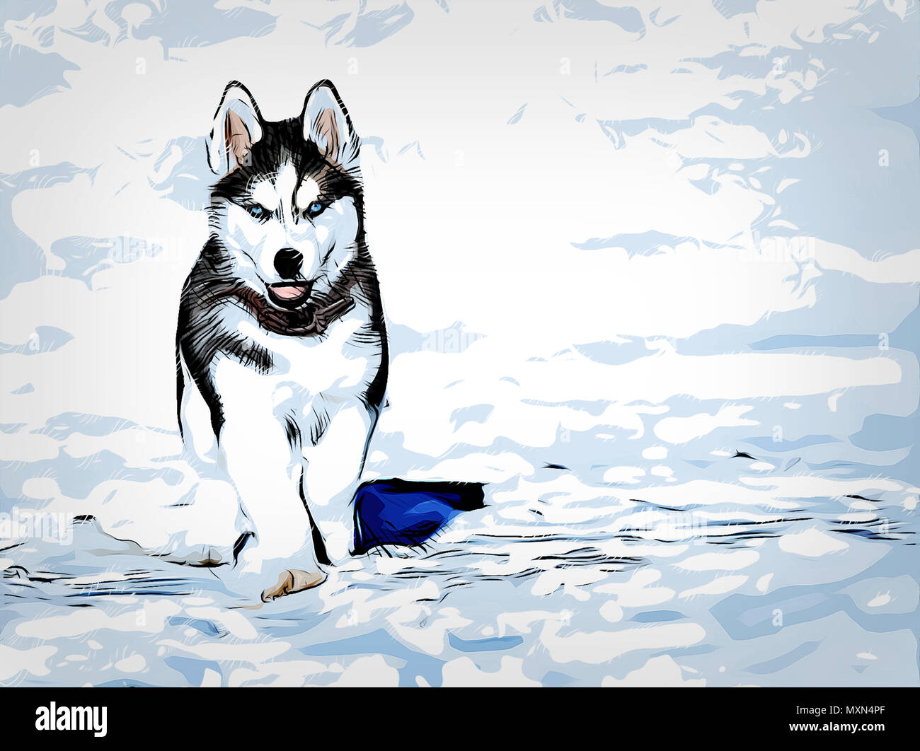 Husky Welpen zu Fuß auf einem schneebedeckten Feld in Alaska in den Vereinigten Staaten von Amerika.. Stockfoto