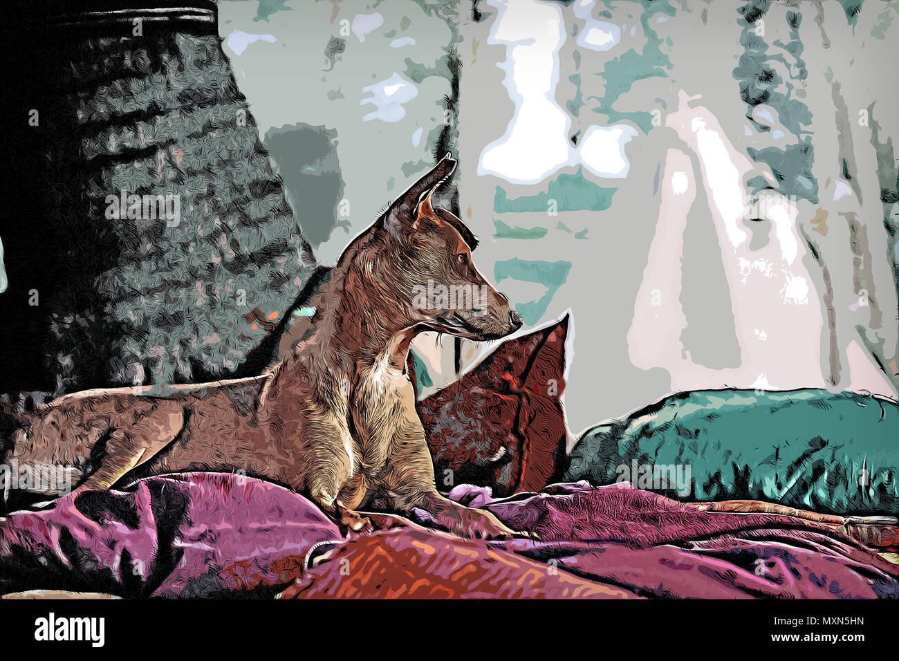 Abbildung: ein Hund im Bett draußen und auf der Suche nach rechts im Sommer. Stockfoto