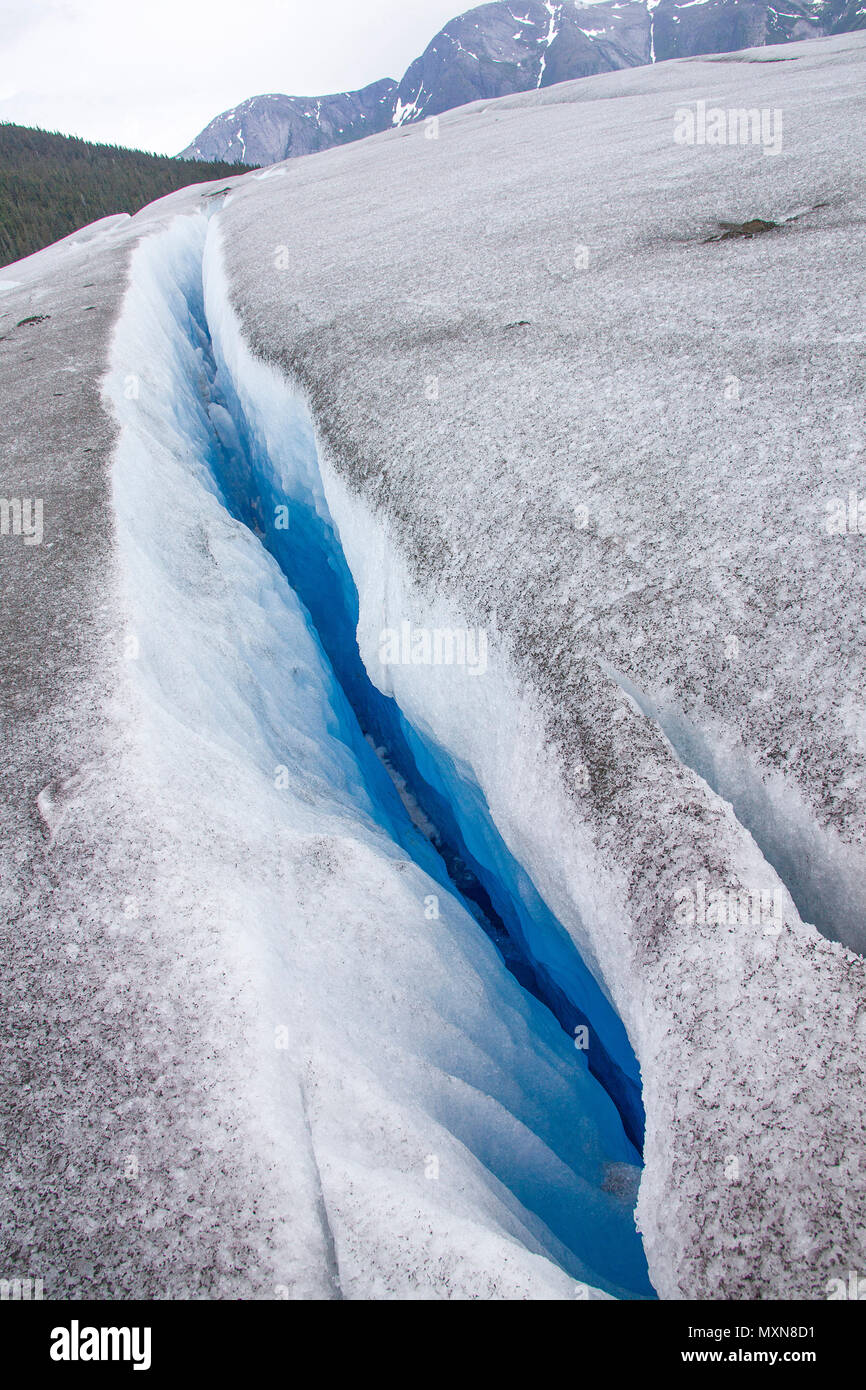 Gletscherspalte in Juneau Icefield, Mendenhall Gletscher, Alaska, North Pacific, USA Stockfoto