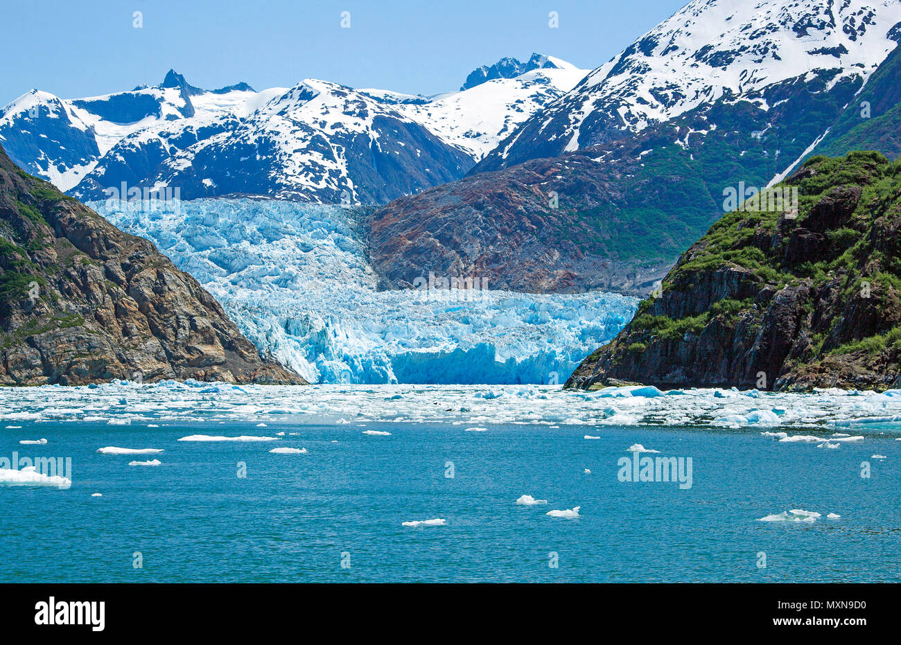 Sawyer Gletscher bin Tracy Arm Fjord, Alaska, Nordpazifik, USA | Sawyer Gletscher in Tracy Arm Fjord, in Alaska, North Pacific, USA Stockfoto