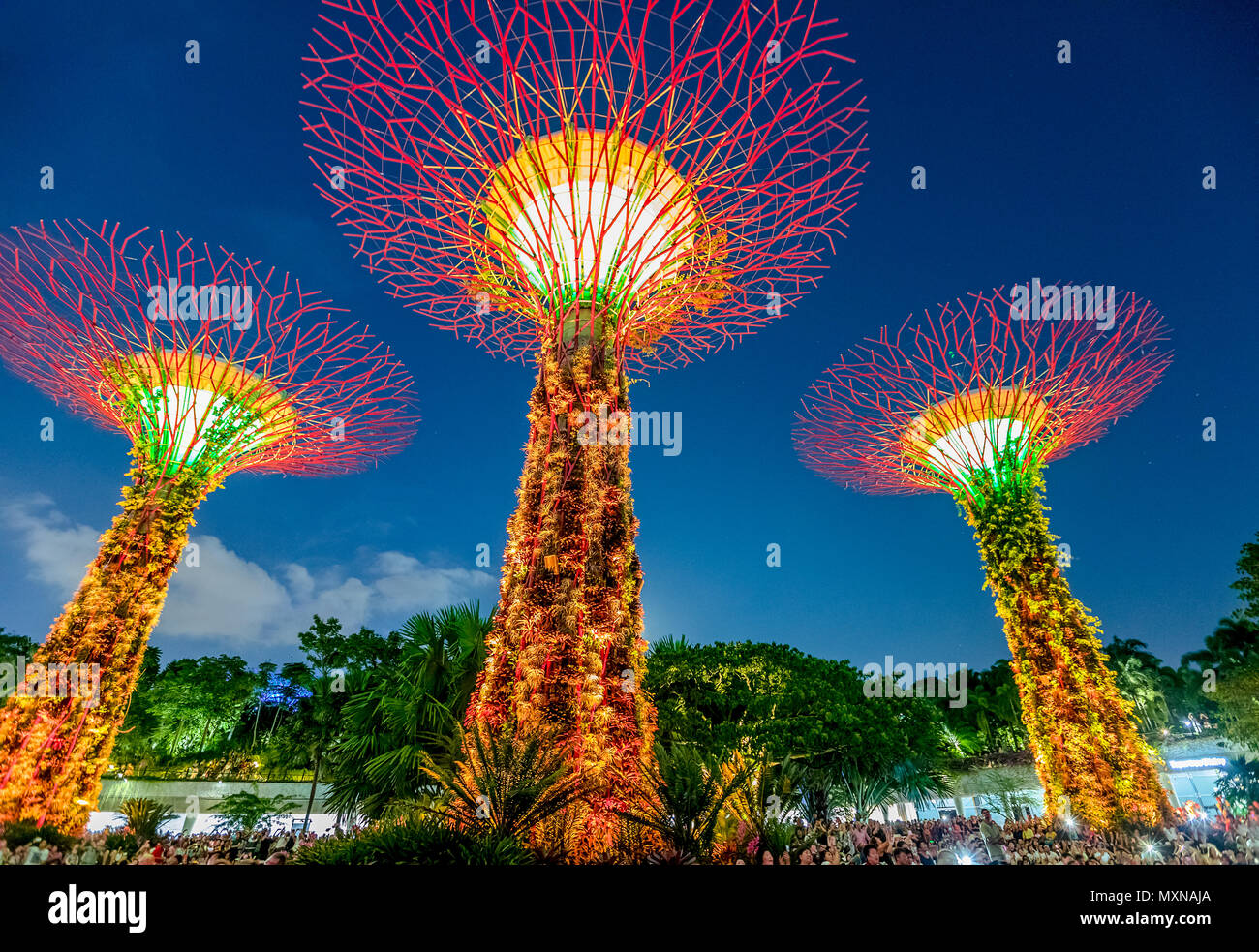 Singapur - 29. April 2018: Supertree Grove an Gärten an der Bucht während Garten Rhapsody Licht und Ton zeigt an der blauen Stunde im Zentrum von Singapur, Marina Bay. Beliebte Touristenattraktion. Stockfoto