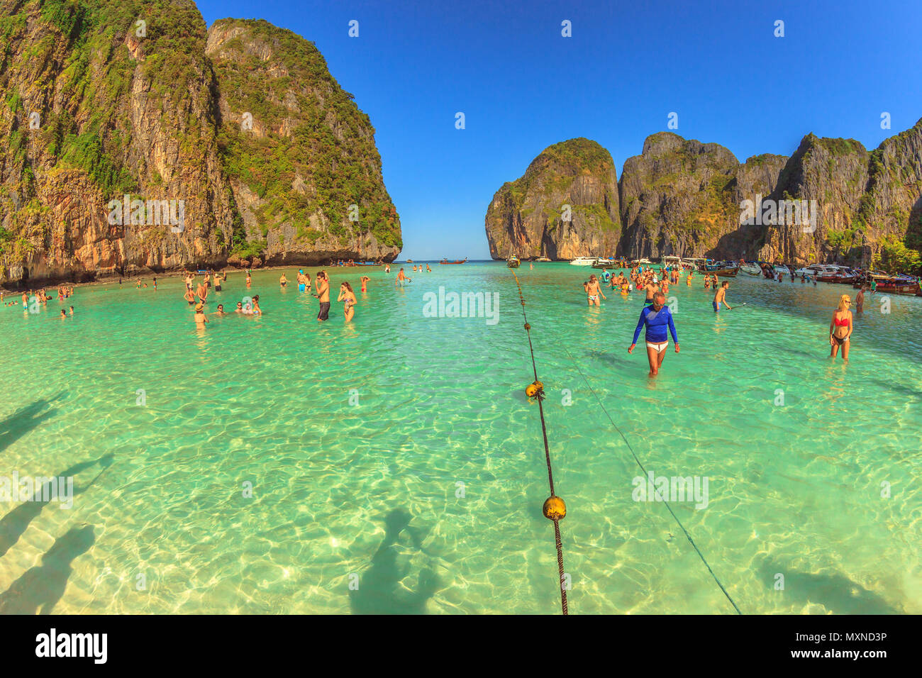 Maya Bay, Phi Phi Leh, Thailand - 31. Dezember 2015: Viele Personen, die in der Lagune von Maya Bay, Phi Phi Island, Krabi, Andaman Meer, die von steilen Kalksteinfelsen umgeben. Berühmte Touristenattraktion. Stockfoto