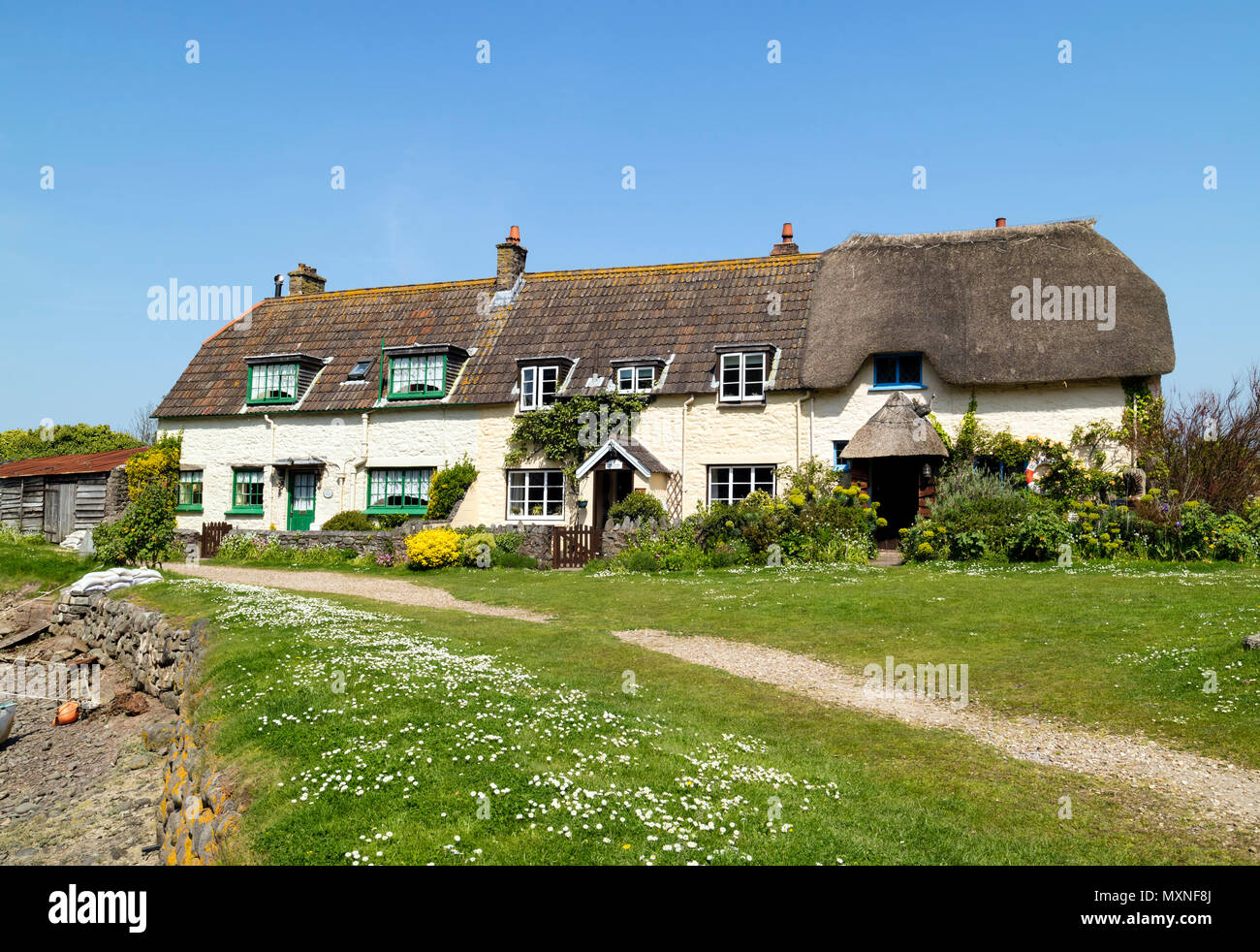 Daisy Rasen und Gibraltar Cottages im Frühjahr, Porlock Wehr, Somerset, Großbritannien Stockfoto