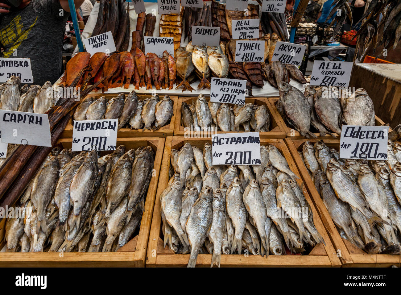 Getrocknet/geräucherten Fisch zum Verkauf am Markt Privoz, Odessa, Ukraine Stockfoto