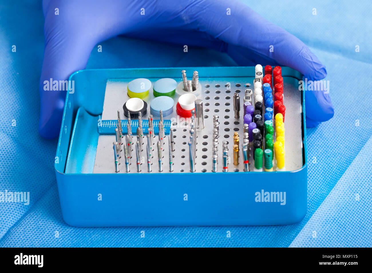 Farbige sterile endodontische Dateien & Zahnarzt Hände tragen blaue Handschuhe Stockfoto