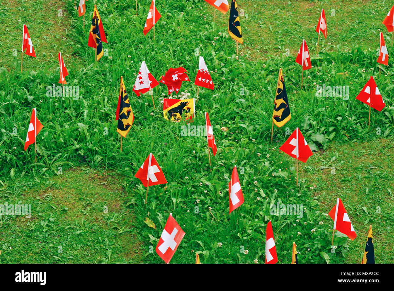 Kleine schweizer Fahnen auf Rasen Stockfoto