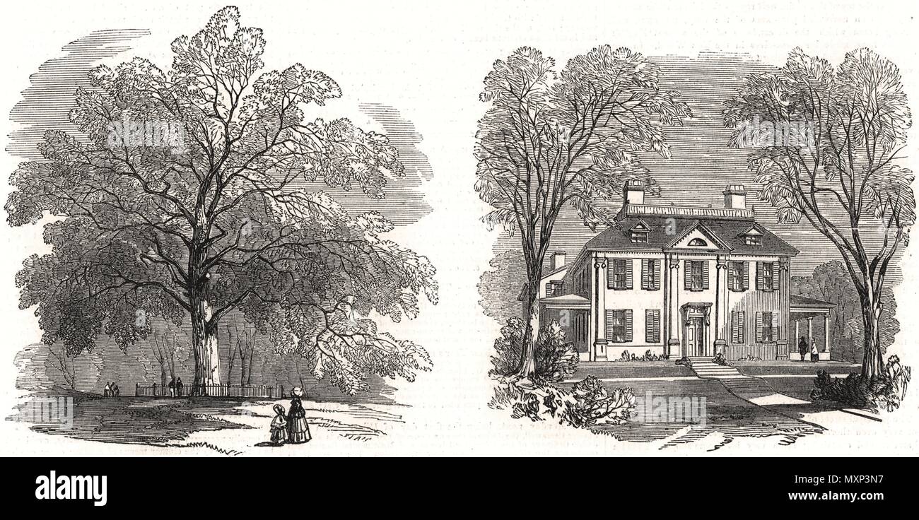 Liberty Tree Boston Common Longfellow's House Old Cambridge. Massachusetts 1858. Die Illustrated London News Stockfoto