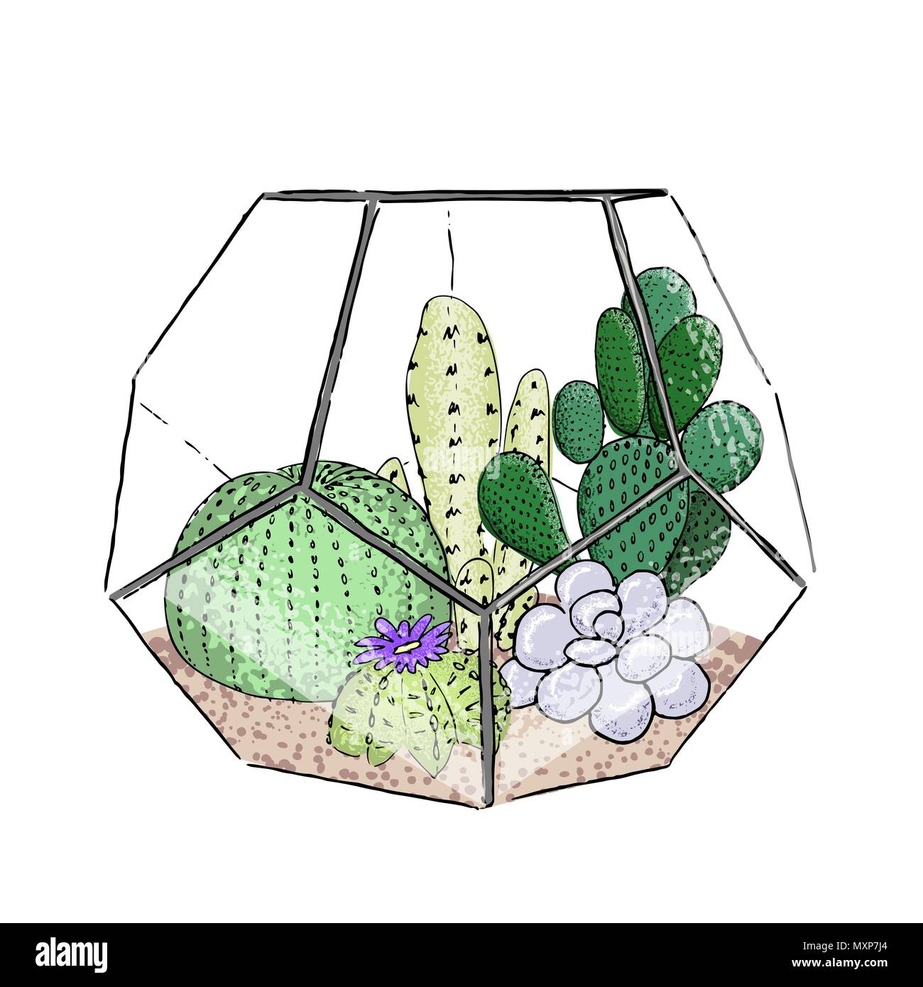 Sukkulenten Kakteen Sammlung in einem keramischen Topf. Agave, Aloe, Saguaro, gastraea, haworthia, echeveria, Pachyphytum, stachelige Stock Vektor