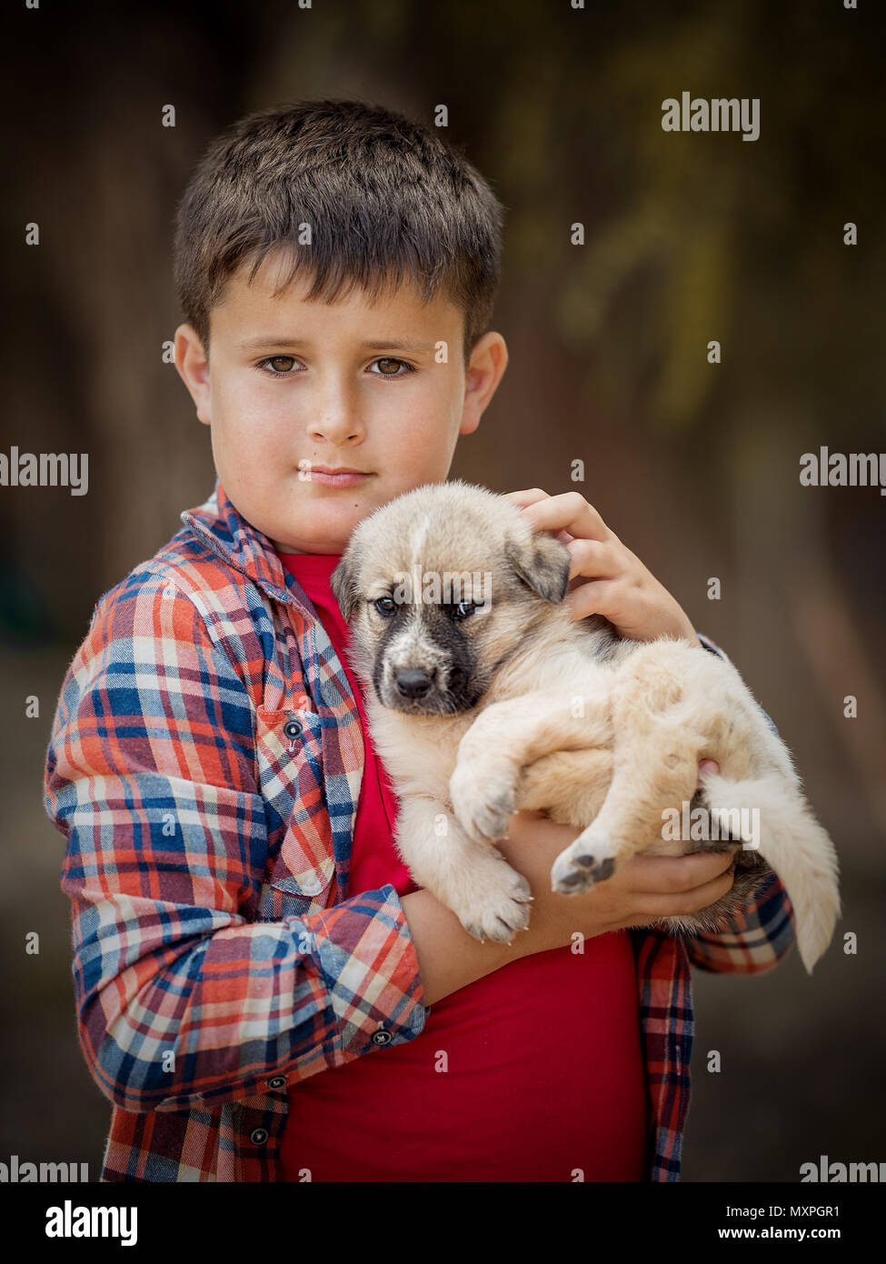 Schöner kleiner Junge hält einen Hund. Close-up Portrait Stockfoto