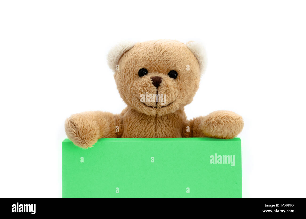 Braun teddy bear Holding mit den beiden Händen eine Notiz in Pastell Grün mit leeren Raum für Sms. Foto isoliert in einem nahtlosen Weiß backgro Stockfoto