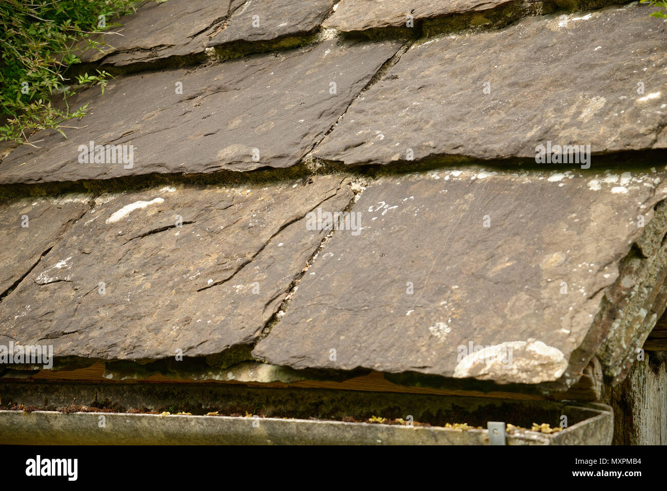 Horsham Steinbruch Ziegeldach Schiefer. Stockfoto