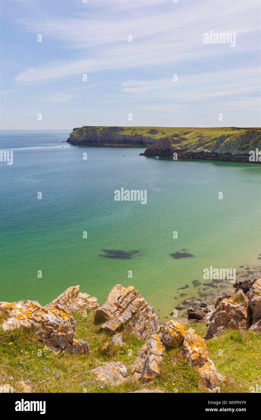 Barafundle Bay, Pembrokeshire Coast, Pembrokeshire, Wales, Großbritannien Stockfoto