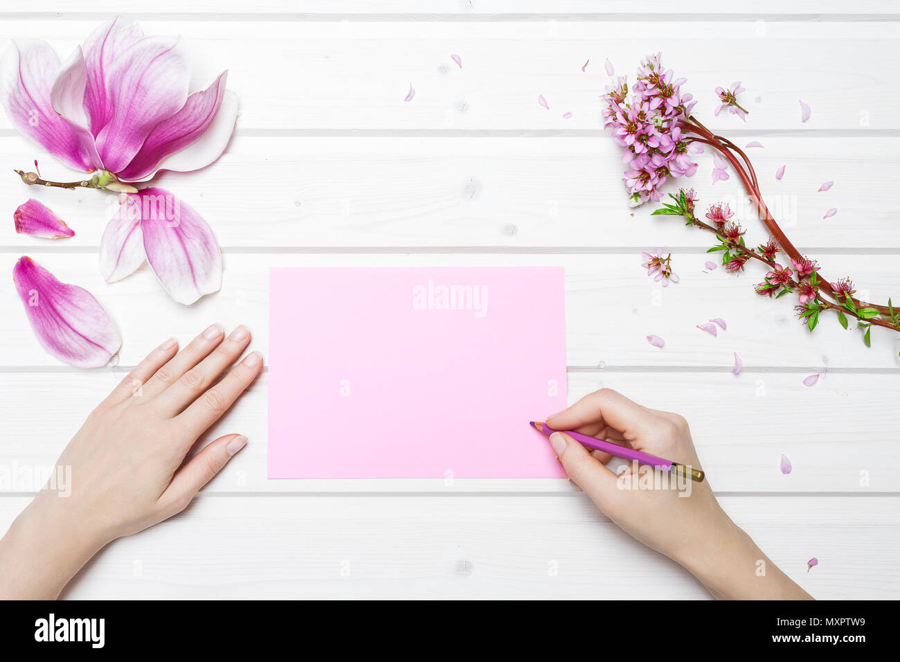 Weiße Schiff deck Tischplatte Szene mit weibliche Hände Schrift auf rosa Papier mit Pink Magnolia Blumen Stockfoto