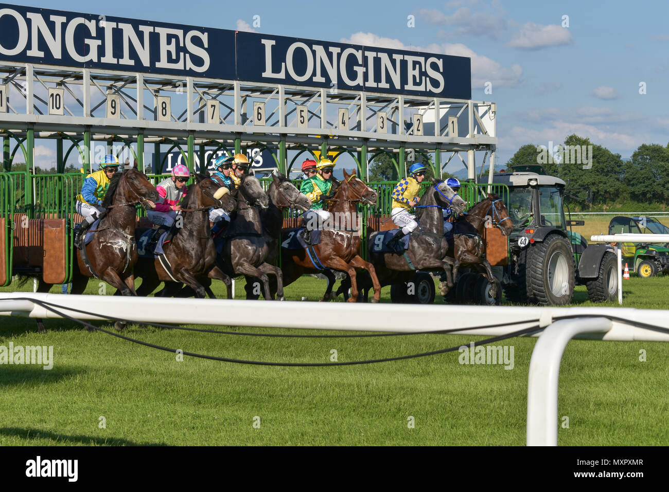 Horse Racing Starting Gate Stockfotos Und Bilder Kaufen Alamy Horse Racing Starting Gate Stockfotos Und Bilder Kaufen Alamy