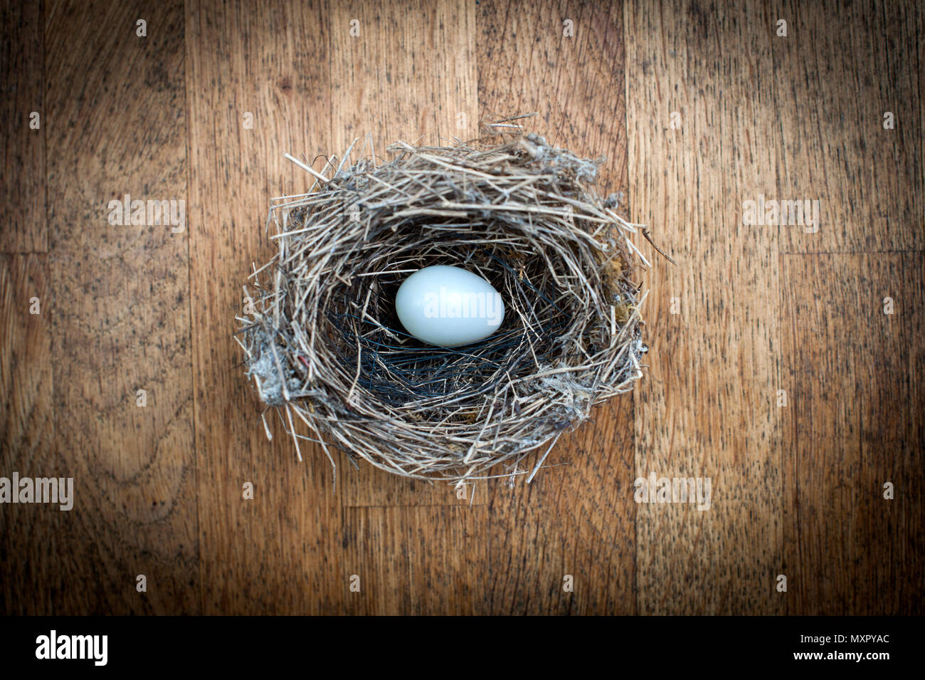 Bird's Nest und Ei aufgegeben. Stockfoto