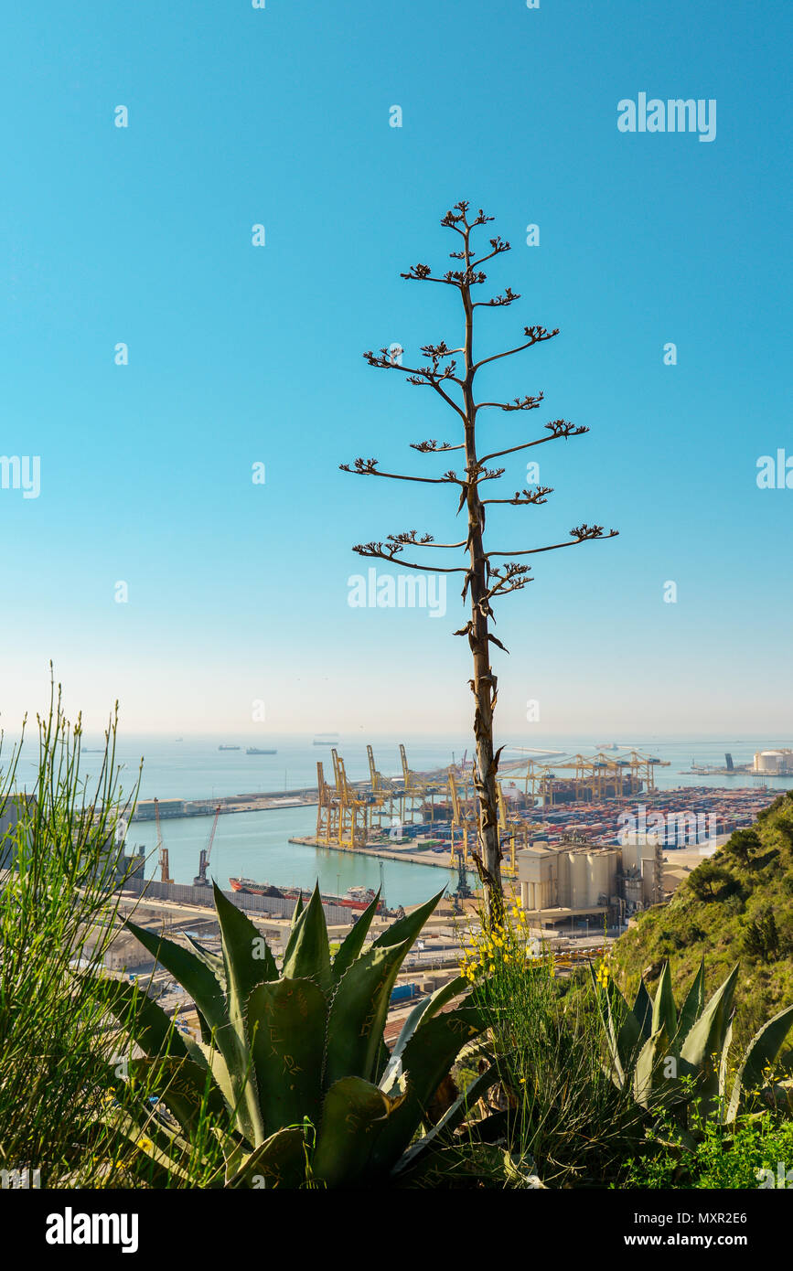 Blick vom Montjuïc auf Meer und Hafen von Barcelona mit Kreuzfahrt Liner. Stockfoto