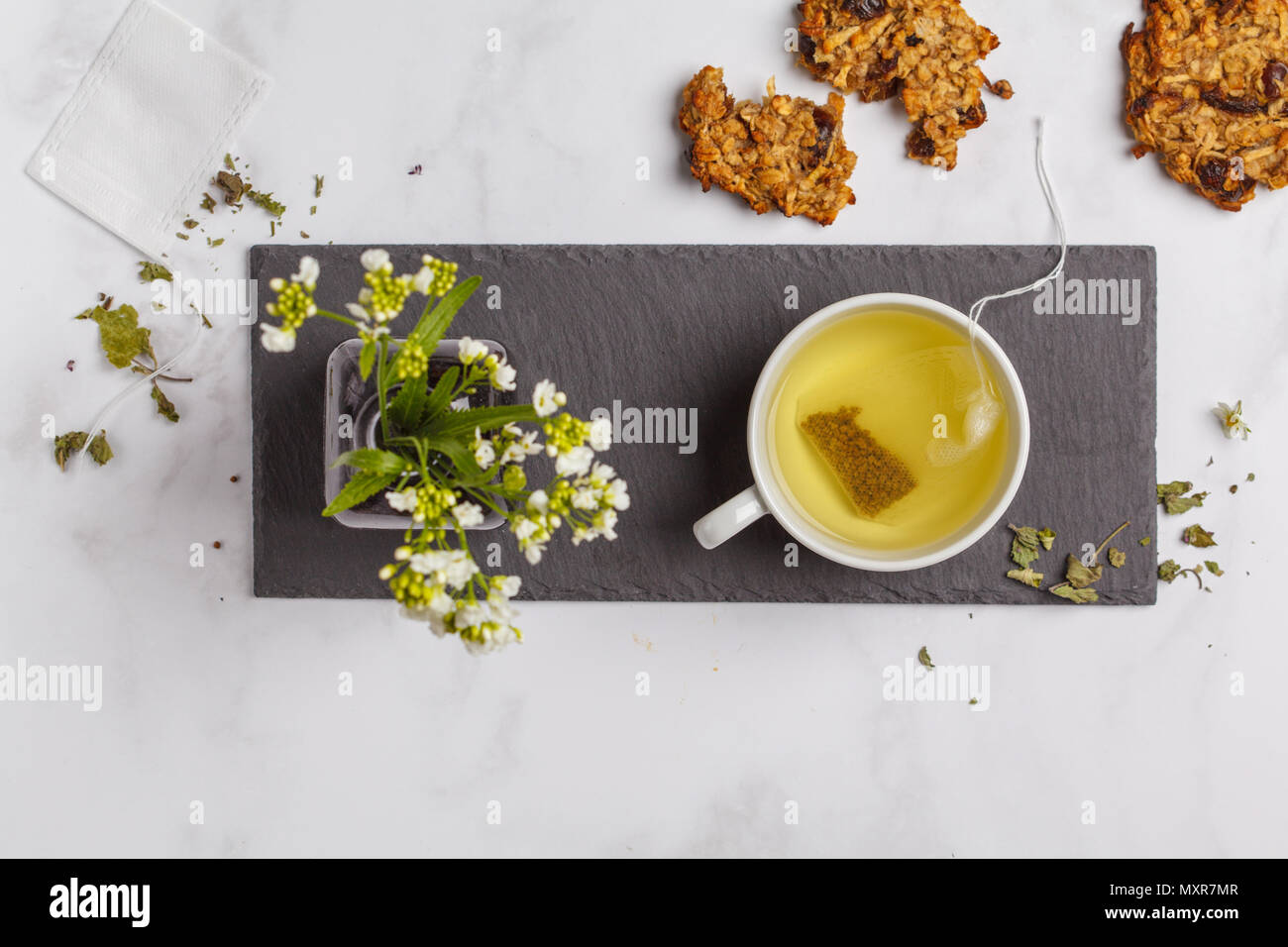 Grün (pflanzliche, Weiß) Tee mit Cookies auf weißem Hintergrund. Flach Essen, Frühstück lifeslyle Konzept Stockfoto