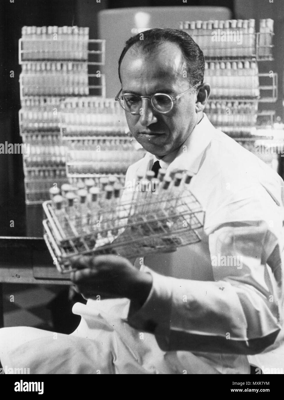 E.Dr. Jonas Salk, dem Entdecker der Polio-impfstoff, in seinem Labor, 1955. Stockfoto