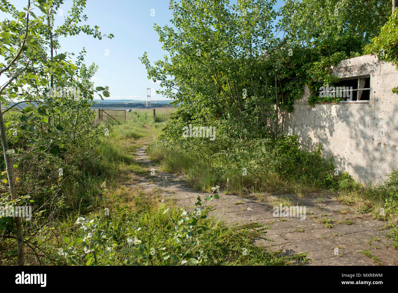 Die verlassenen Aust Fähre mit der Severn Bridge hinter, Schauplatz der berühmten Barry Feinstein Foto von Bob Dylan' Warten auf die Fähre 1966' Stockfoto
