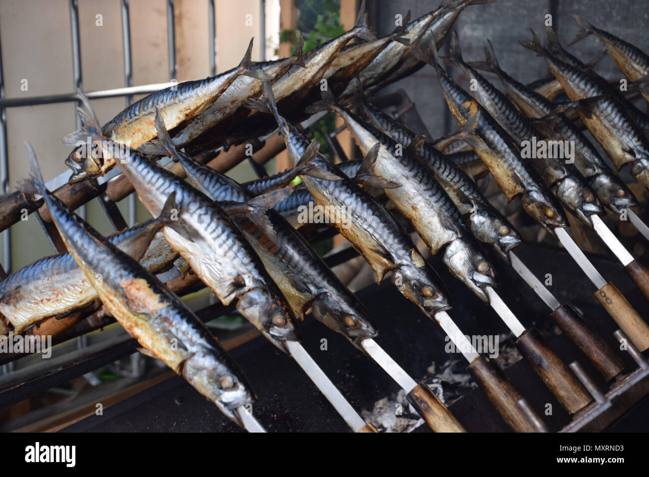 Scomber scombrus steckerlfisch -Fotos und -Bildmaterial in hoher ...