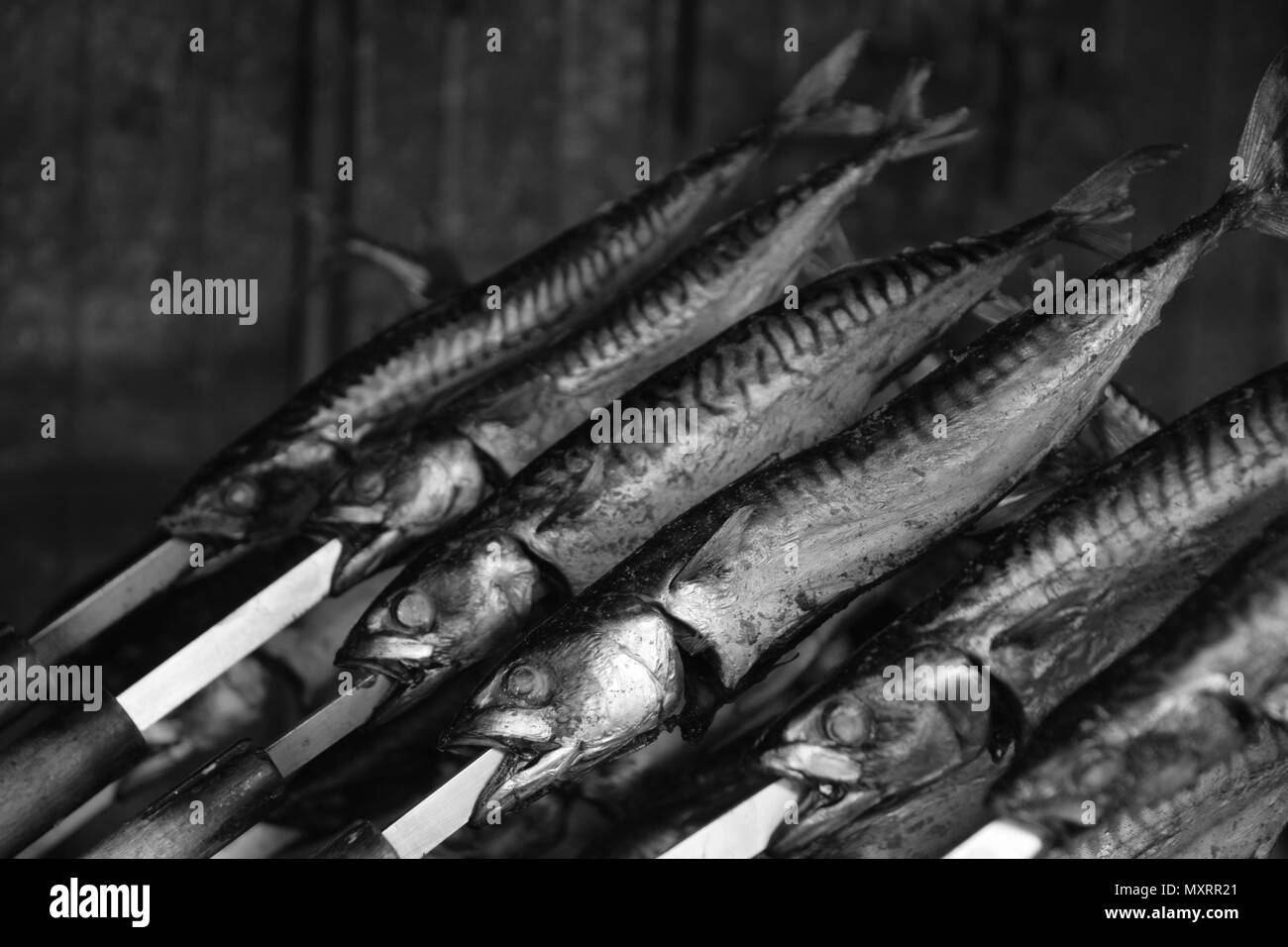 Gegrillte schottischen oder norwegischen Makrelen auf Grill in Schwarz und Weiß Stockfoto