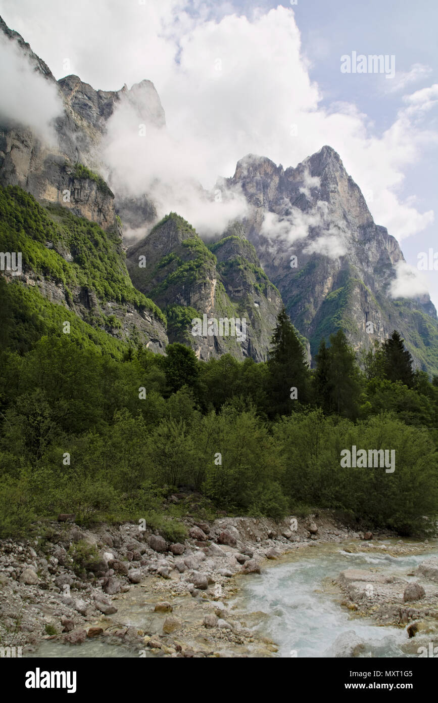 Nebel Wolken steigen von Dark Mountain Forest Stockfoto