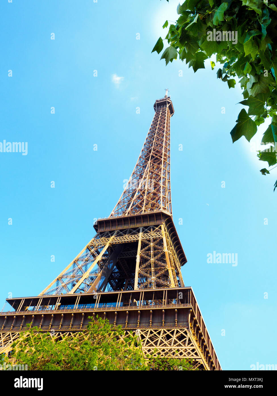 Eiffelturm - Paris, Frankreich Stockfoto