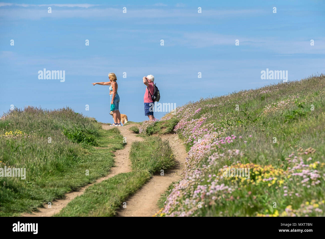 Urlauber bei einem Spaziergang entlang des South West Coast Path an der Küste von North Cornwall. Stockfoto
