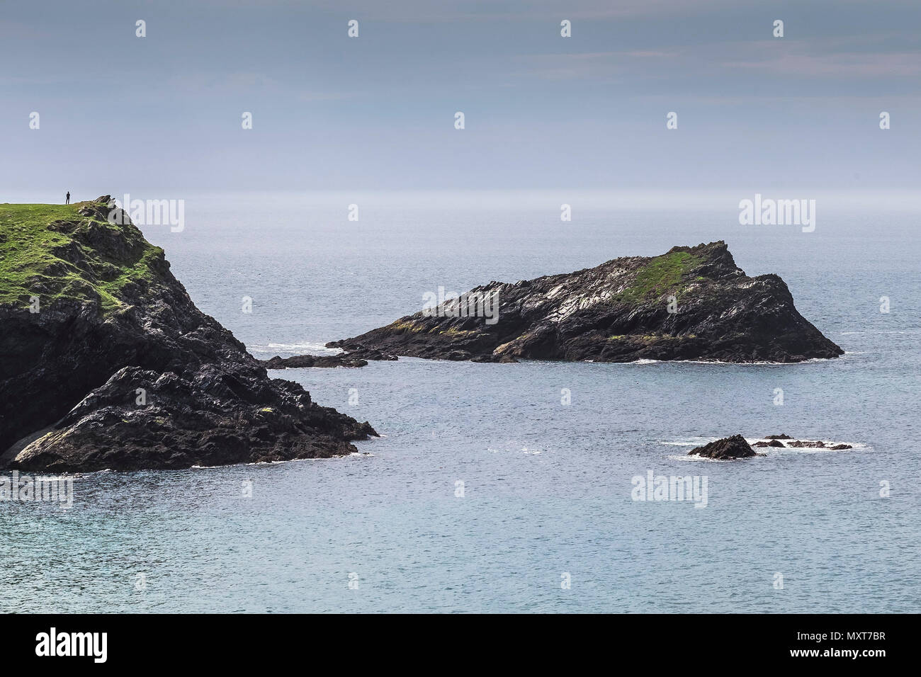 Das Küken eine kleine felsige Insel weg Kelsey Kopf an der Küste von North Cornwall. Stockfoto