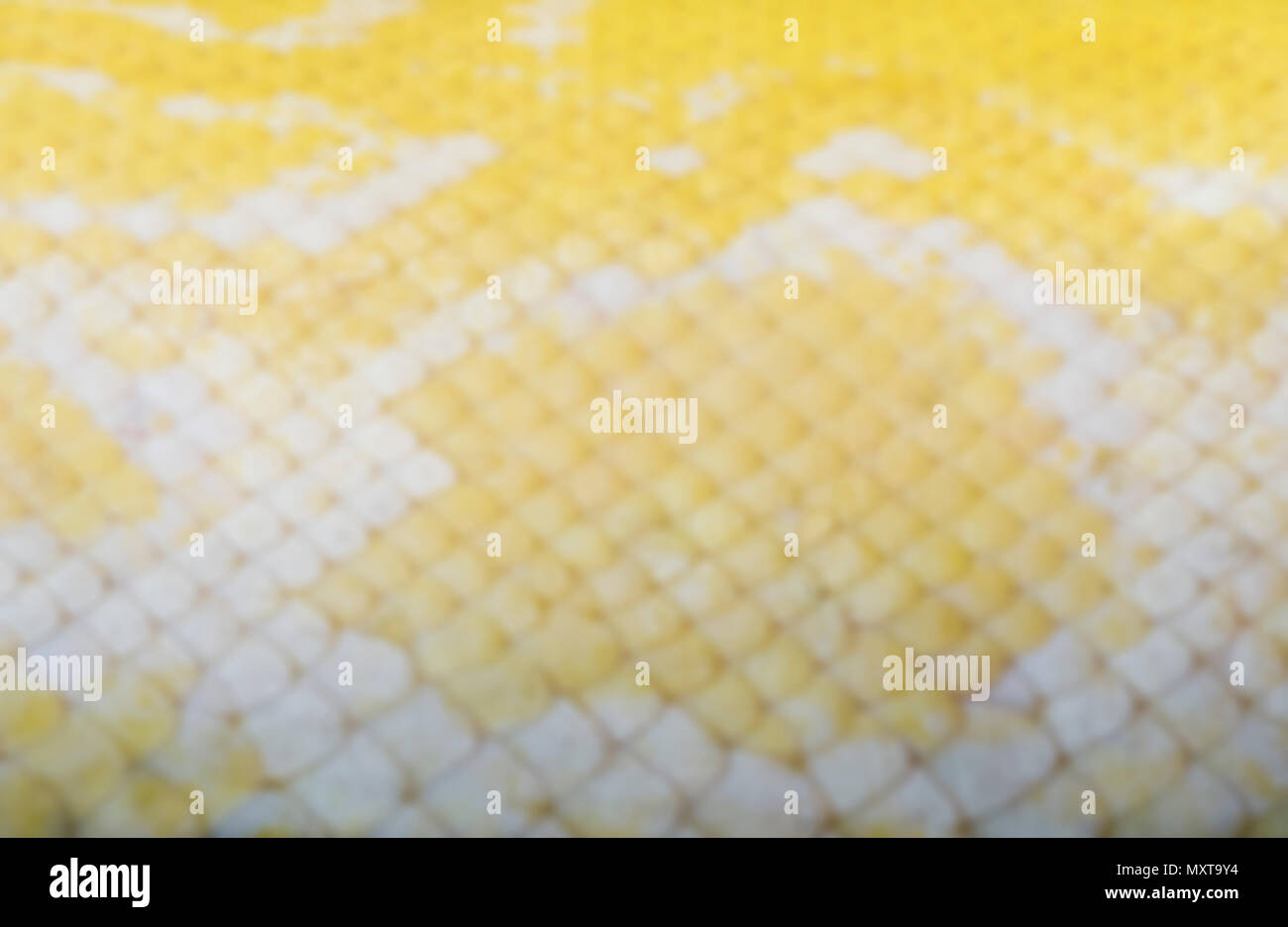 Verschwimmen oder unscharf Golden Thai Python (Python bivittatus) Schlange Hautstruktur. Stockfoto