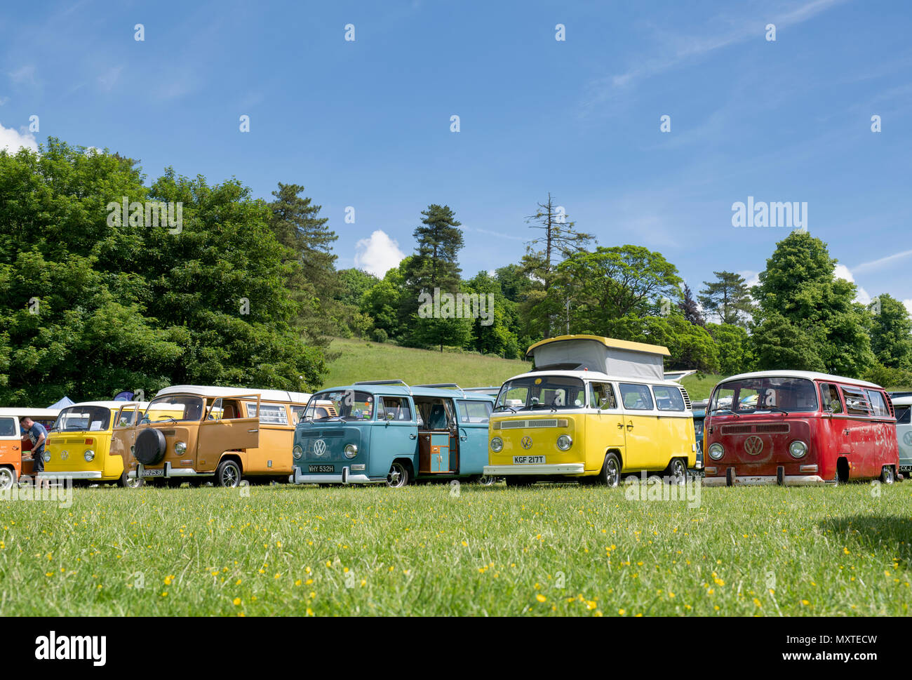 Linie von VW Volkswagen Reisemobile an einem VW zeigen. Stoner Park, Oxfordshire, England Stockfoto