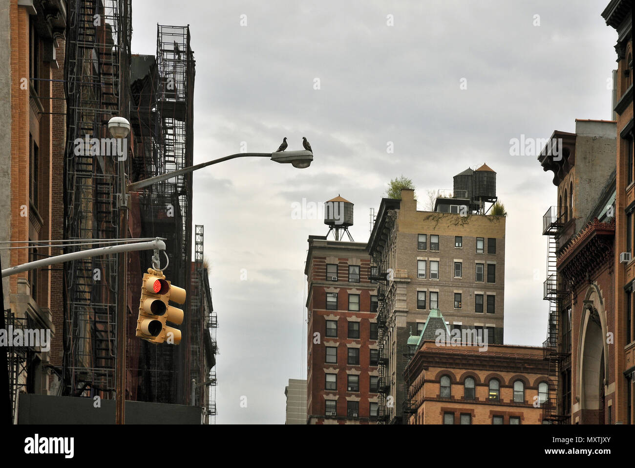 Little Italy Liebhaber, Lower Manhattan, New York City Stockfoto